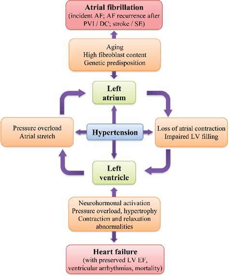 Pdf Hypertension And Atrial Fibrillation An Intimate Association Of