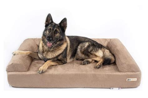 Orthopedic Dog Beds For Large And Extra Large Dogs Big Barker