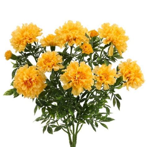 silk marigold flower bush yellow case marigold flower nearly natural floral decor nature