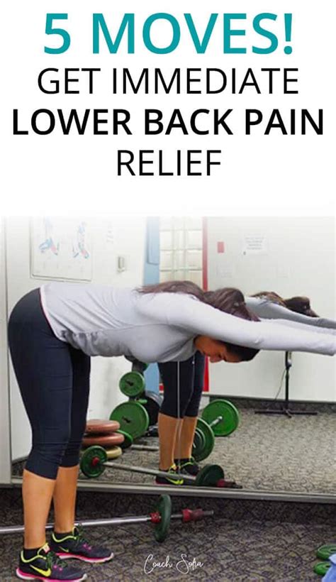 5 Moves For Instant Lower Back Pain Relief Coach Sofia Fitness