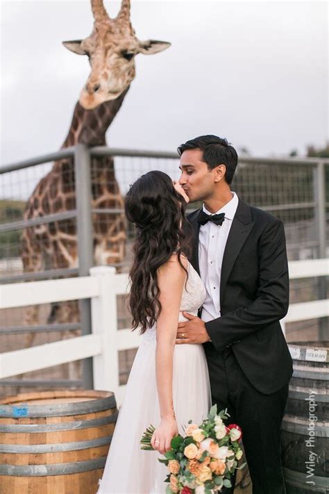 Indian Fusion Saddlerock Ranch Wedding — Emily Lynn And Co Hair And Makeup