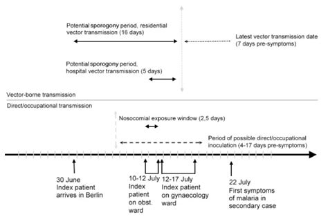 Timeline of events. Vector-borne transmission (upper part): theoretical