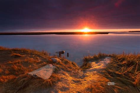Sunrise On Stony Island Eastham Massachusetts Cape Cod National
