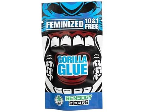 Gorilla Glue4 Weed Seeds With High Thc