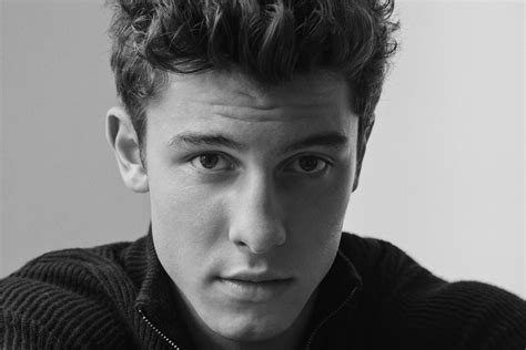 Doubtless he was encouraged by his manager andrew gertler, who recently hopped onto the burgeoning nft wave with the passion of a convert. Shawn Mendes | Start