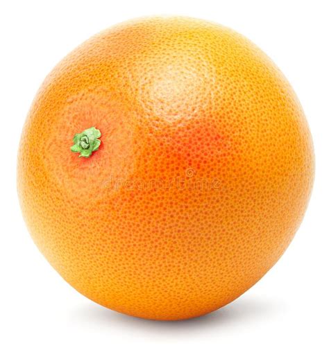Single Orange Fruit Isolated On White Background Stock Image Image Of