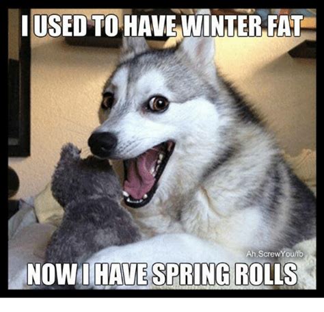 7 Funny Spring Memes To Welcome The New Season