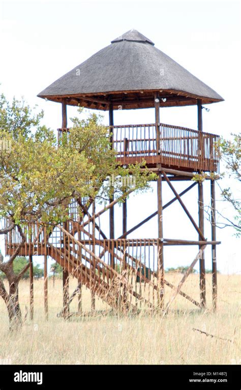 A Thatch Roof Watchtower In Savannah At Zebula Game Reserve Near Zebula