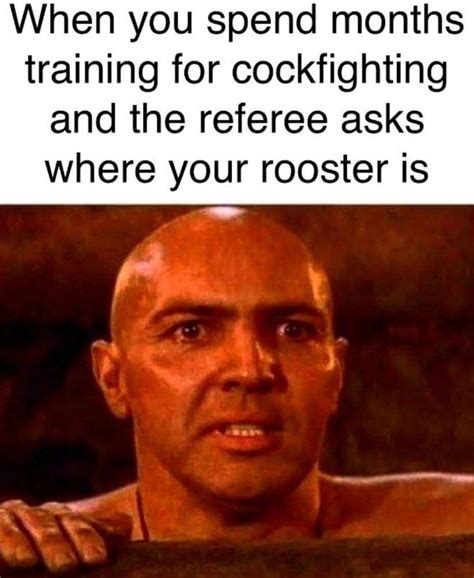 Rooster Meme By Knott Memedroid