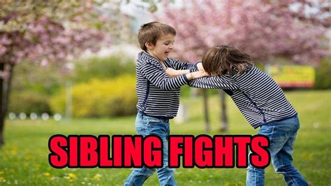 sibling fights how to deal with them sibling fights sibling fighting fight