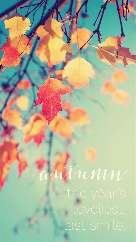 autumn wallpaper November. | November wallpaper, November ...