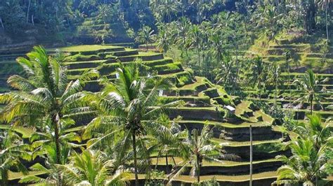 Sistem Subak Di Bali Ilmu