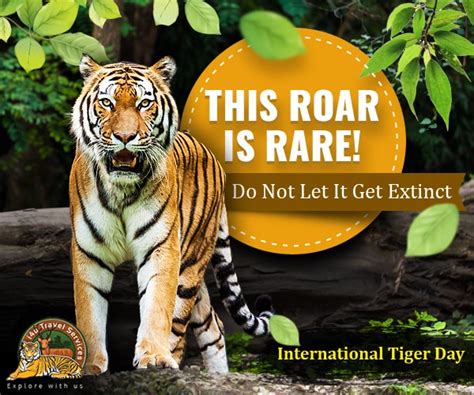 The day is dedicated to the beautiful big cat, i.e therefore, the world tiger day was observed the first time in 2010 to deal with the decline in the. International Tiger Day, Significance & An Invite To ...