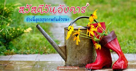 ดูดวงความรักไพ่ทาโรต์ ไพ่ยิปซี 2 ใบ ทางเลือกไหนเป็นอย่างไร. ดูดวงรายวัน วันที่ 13 สิงหาคม พ.ศ. 2562