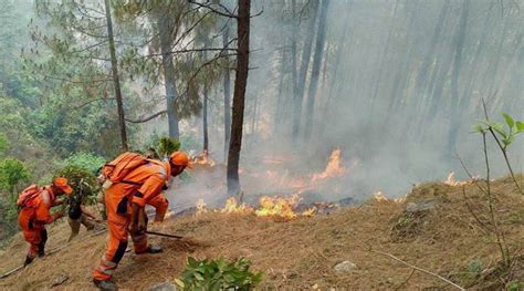 Fresh Forest Fires In Uttarakhand Destroy 180 Hectares Of Green Cover