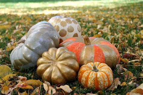 How To Gold Spotted Painted Pumpkin