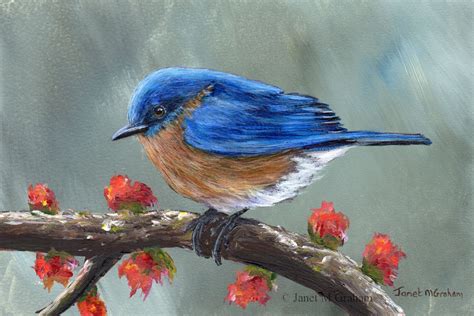 Bird Art Painting Spring Bluebird Sfa Wildlife Original Hand