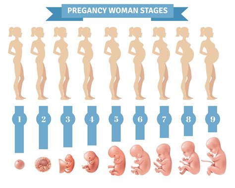 A home pregnancy test can detect pregnancy on the first day of your missed period. NUTRITIONAL REQUIREMENTS FOR WOMEN IN DIFFERENT ...