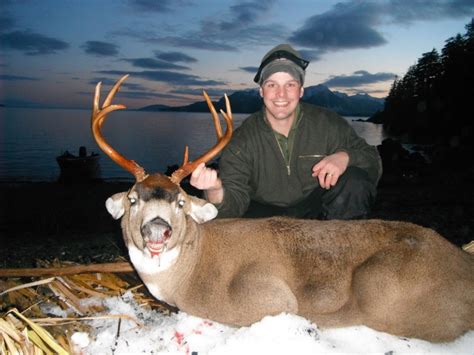 Alaska Sitka Black Tail Deer 01