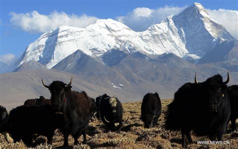 Scenery Of Tibets Mount Jomolhari Cn
