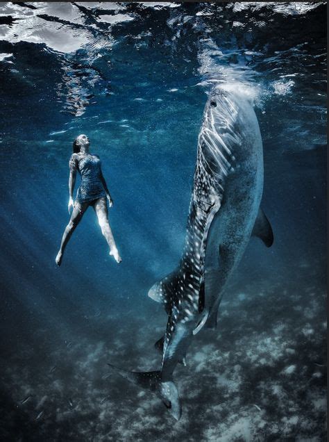 Environmental Photographer Shawn Heinrichss Captivating Under Water
