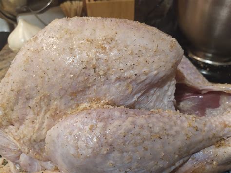 how to roast a perfect turkey in a nesco roaster oven the good plate