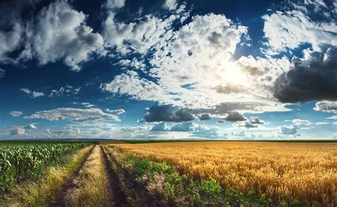 scenery, Fields, Sky, Roads, Clouds, Grass, Nature Wallpapers HD ...