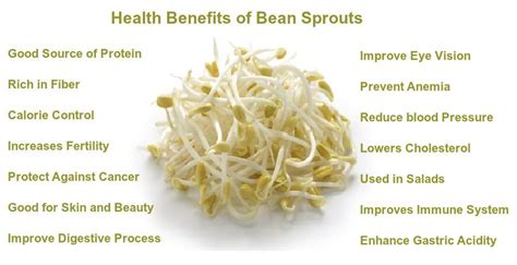 the healthy tips health benefits of bean sprouts
