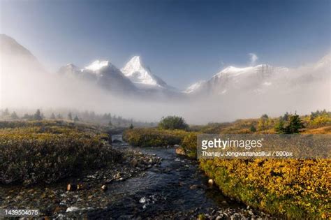 Great Glacier Provincial Park Photos And Premium High Res Pictures