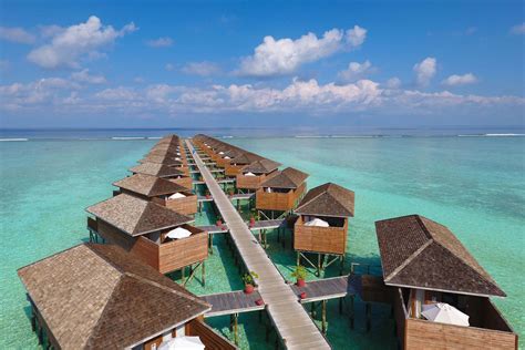 Meeru Island Resort And Spa I Maldiverne Book Online Nu