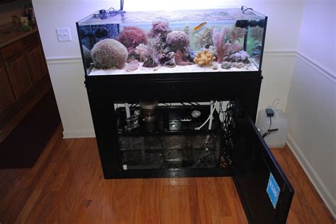80 Gallon Reef Tank Shots Nano Reef Community