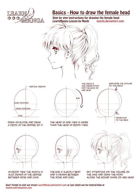 Proporción De La Cabeza Perfil Anime Head Manga Drawing Tutorials