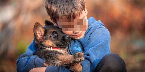 Estos Son Los Mejores Perros Para Niños Autistas