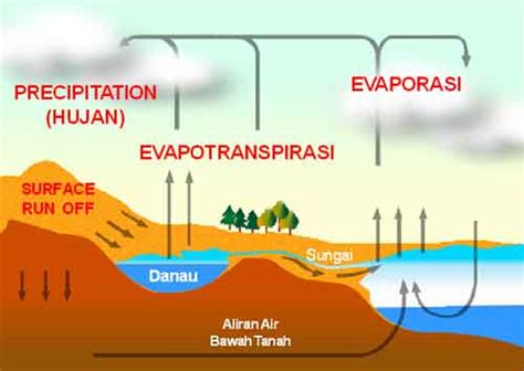 Evapotranspirasi adalah gabungan evaporasi dan transpirasi tumbuhan yang hidup di permukaan bumi. Process of Rain ~ Secret Mystery In The World
