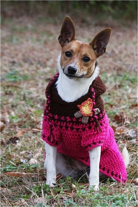 Crochet Dog Sweaters Free Crochet Patterns And Video Tutorials