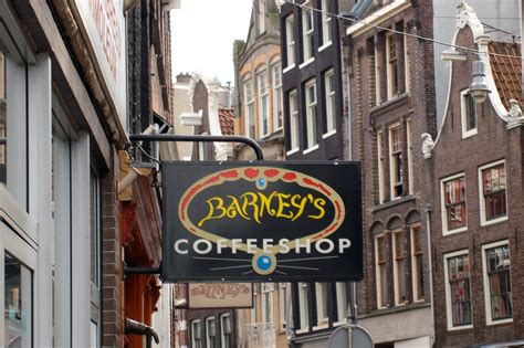 10 Best Coffeeshops In Amsterdam Where To Experience Amsterdams
