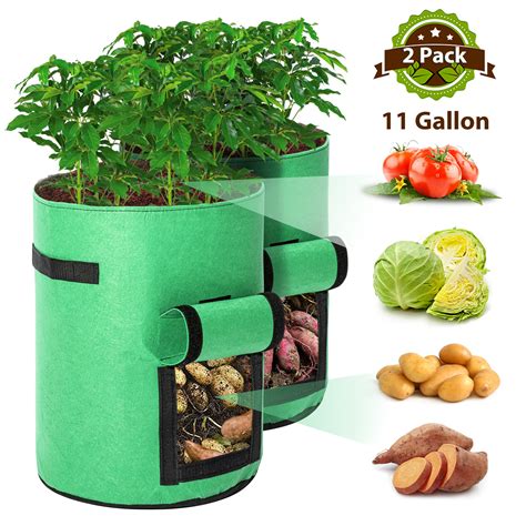 2 Pack Potato Grow Bags 10 Gallon Updated Garden