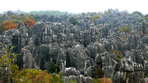 Cool Karst At Chinas Shilin Stone Forest 270 Million Year Old Natural