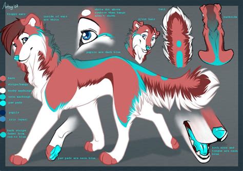A Ref Sheet Of A Red White And Blue Wolf Fursona Wolf Drawing