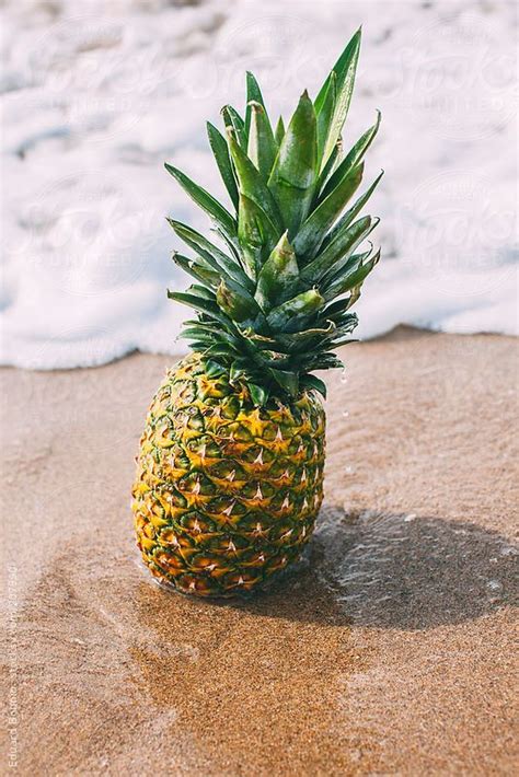 Pineapple On The Beach Summer Time By Eduard Bonnin Healthy Nutrition