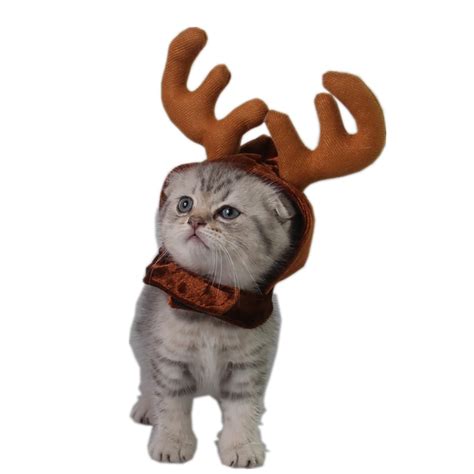 Christmas Antler Cap For Cats Xmas Hat For Small Dogs ...