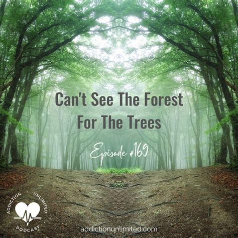 Cant See The Forest For The Trees ⋆ Addiction Unlimited Podcast