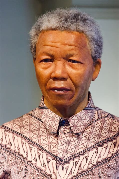 Nelson Mandela Free Stock Photo Public Domain Pictures