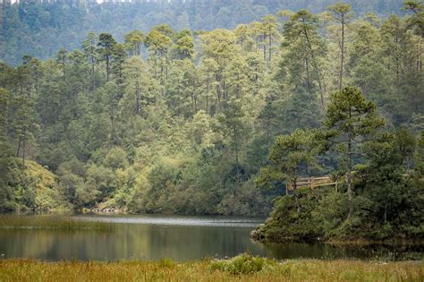 Qué Hacer En Las Lagunas De Zempoala En El Estado De Morelos