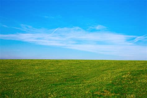 绿色的田野和蓝色的天空 免费图片 Public Domain Pictures