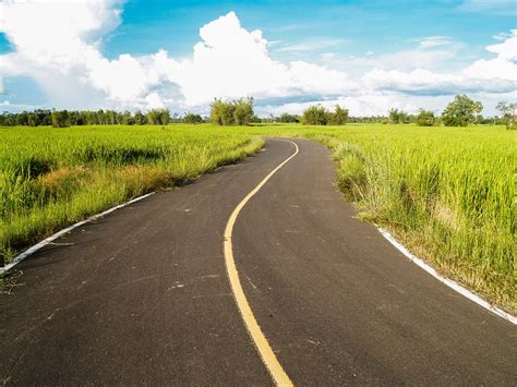 Road In Rural Area Farm Free Stock Photo Public Domain Pictures