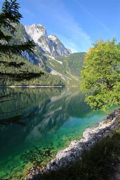 Vorderer Gosausee Lake In Austrian Alps Stock Image Image Of Europe