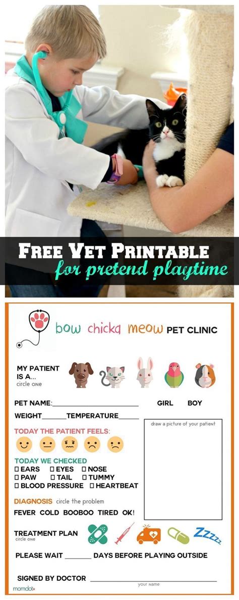 Vet Role Play Free Printables