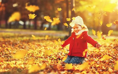 31 Fall Activities For Kids Affordable At Home Fun 2022 Own The Yard