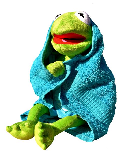 Kermit Frog Towel Free Photo On Pixabay Pixabay